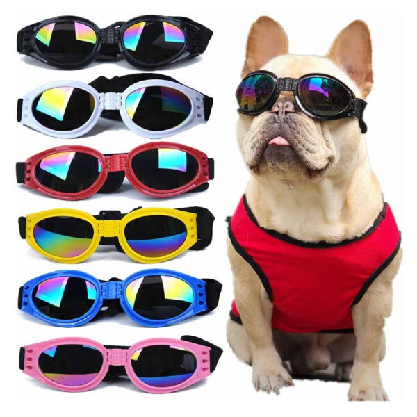 Gafas perro viaje moto proteje luz agua