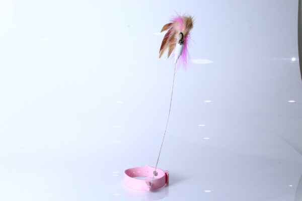 PLUMA INTERACTIVA PARA GATO JI5