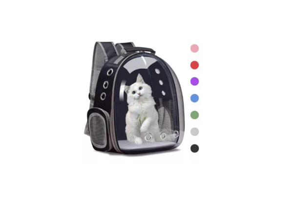 Morral Mochila Maleta Transparente