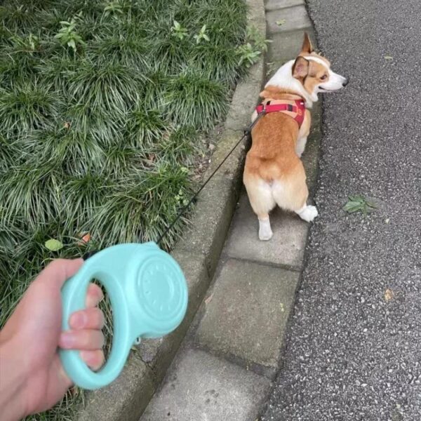 Correa Retráctil De 3mts Para Mascotas