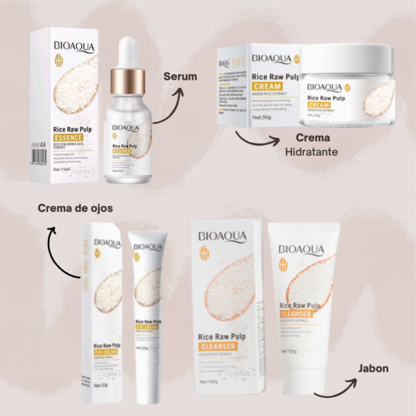 KIT DE ARROZ BIOAQUA X4N2
